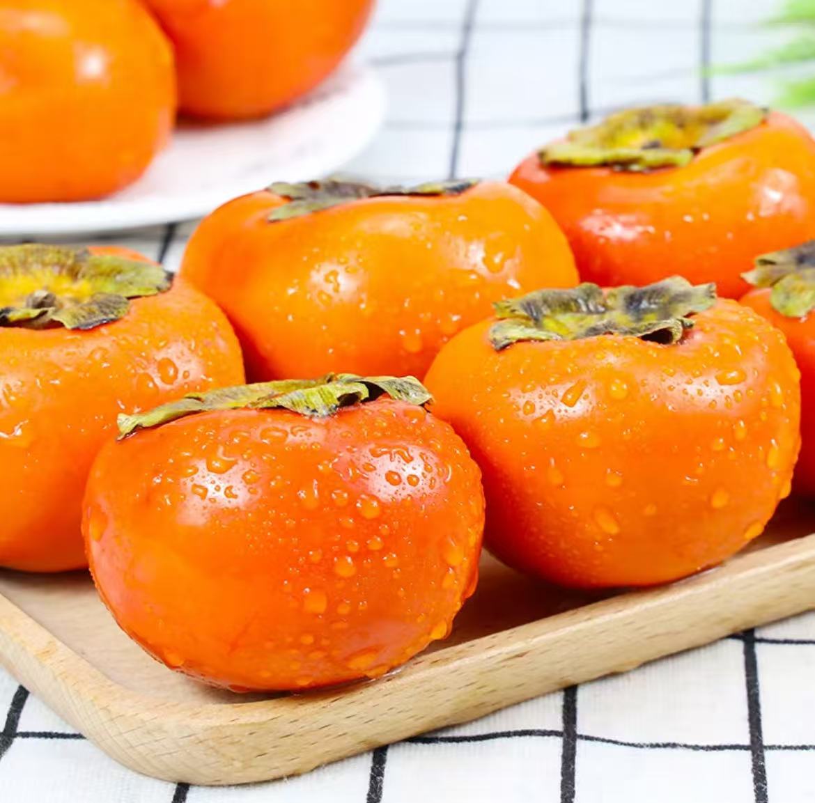 persimmon(Anchor development)