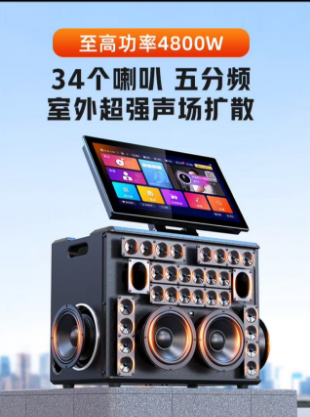 High end audio system in the live broadcast room(Anchor development)